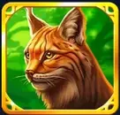 Lynx symbol